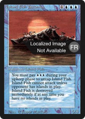 Island Fish Jasconius (FBB-061) - Foreign Black Border