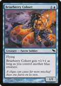Briarberry Cohort (SHM-030) - Shadowmoor