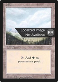 Plains (FBB-292) - Foreign Black Border