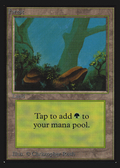 Forest (CED-280) - Collectors' Edition