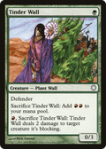 Tinder Wall (CTD-270) - Coldsnap Theme Decks
