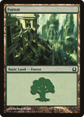 Forest (RTR-274) - Return to Ravnica Foil