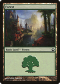 Forest (RTR-272) - Return to Ravnica Foil