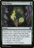 Wild Shape (AFR-212) - Adventures in the Forgotten Realms Foil