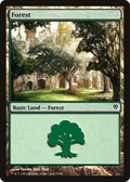 Forest (DDM-085) - Duel Decks: Jace vs. Vraska