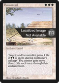 Farmstead (FBB-019) - Foreign Black Border