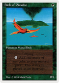 Birds of Paradise (SUM-187) - Summer Magic / Edgar