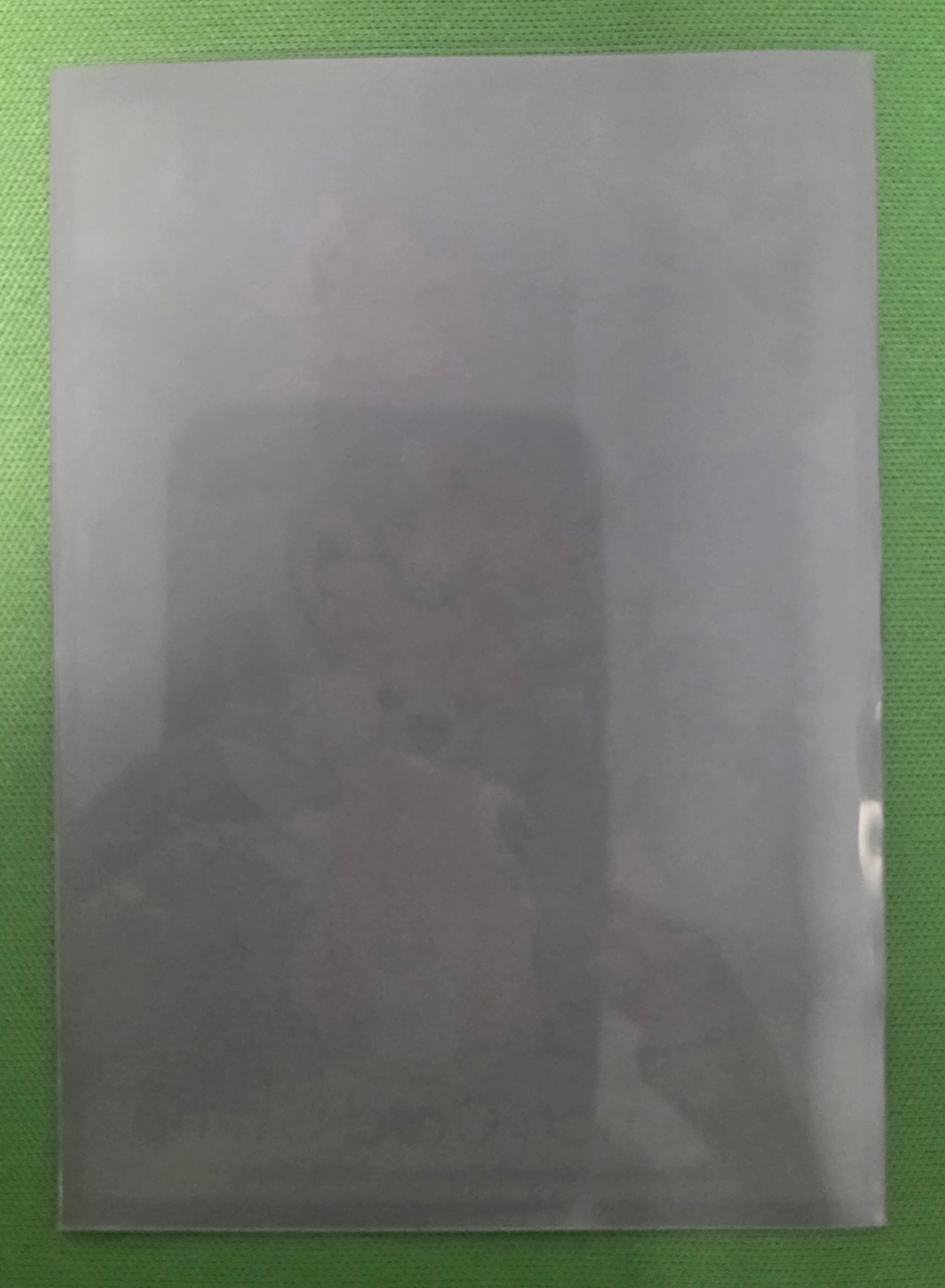 Pokémon Card Sleeve (Single Sleeve)